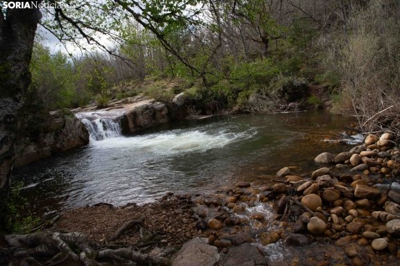 Cinco piscinas naturales para disfrutar de un refrescante verano