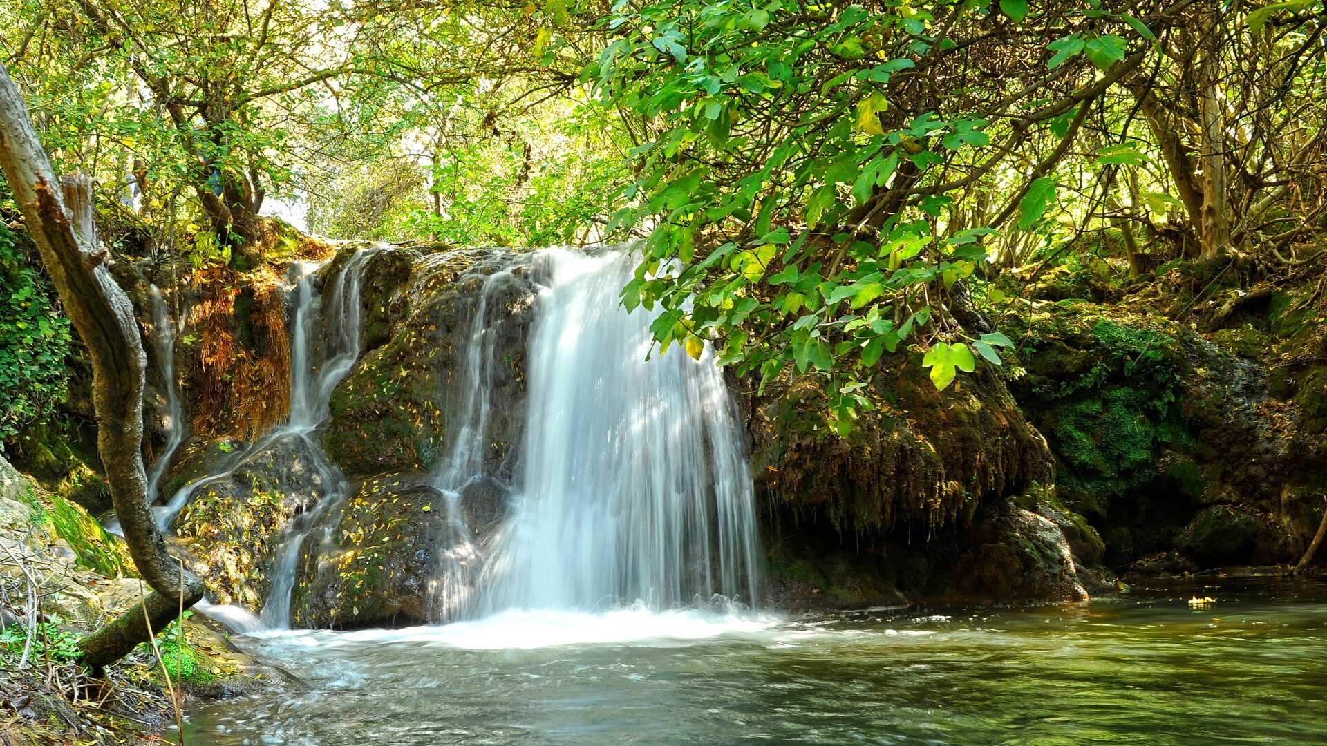 Declaradas Monumento Natural: las preciosas cascadas a menos de 2 horas de Sevilla salpicadas de pozas cristalinas
