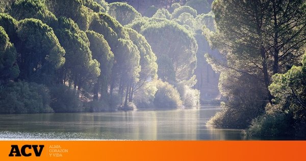Descubre esta playa fluvial a menos de una hora de Madrid con más de 23 kilómetros para pasear o montar en bici