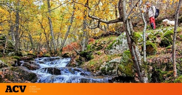 Descubre la mágica ruta de senderismo a solo 1 hora de Madrid perfecta para el otoño: sencilla, llena de abedules y con una preciosa cascada