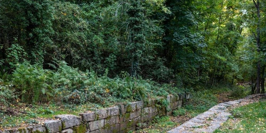 El bosque finlandés a una hora de Madrid en el que puedes hacer una ruta de senderismo: dónde está y cómo llegar