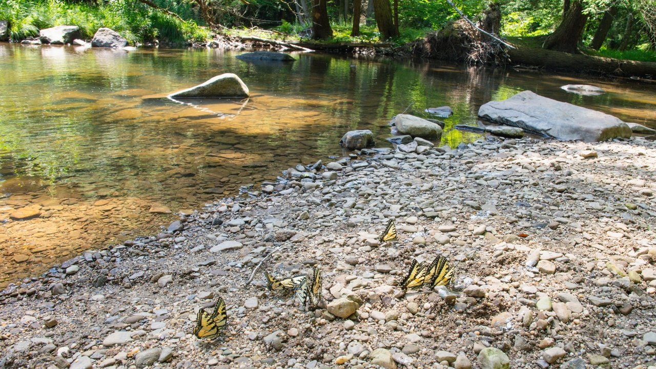El pequeño pueblo de Portugal que está lleno de piscinas naturales
