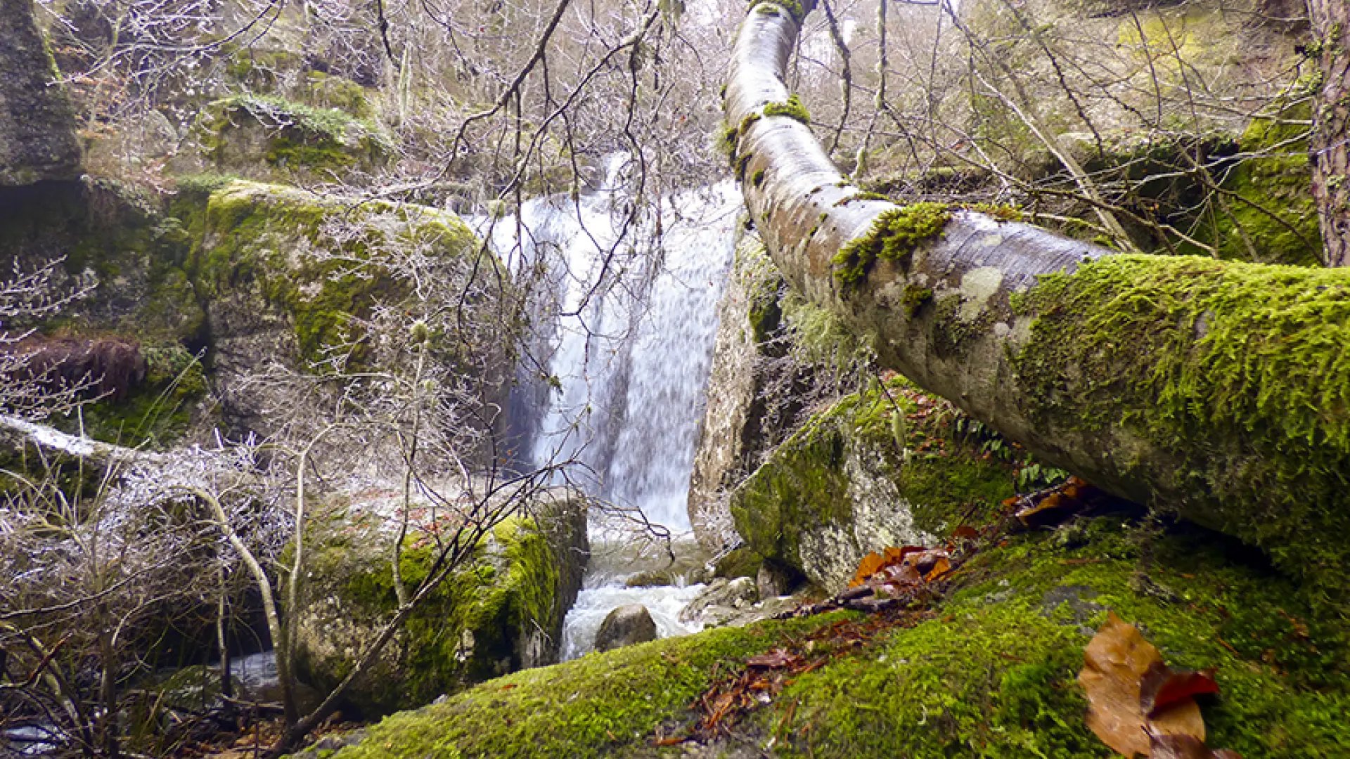 El pequeño pueblo de Soria bañado por el río Duero que tiene una espectacular ruta de cascadas