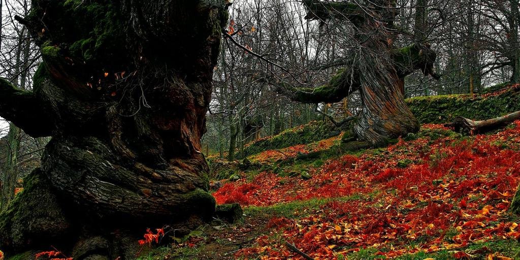 El pueblo de Extremadura que tiene uno de los castañares más desconocidos de España: perfecto para una escapada en otoño