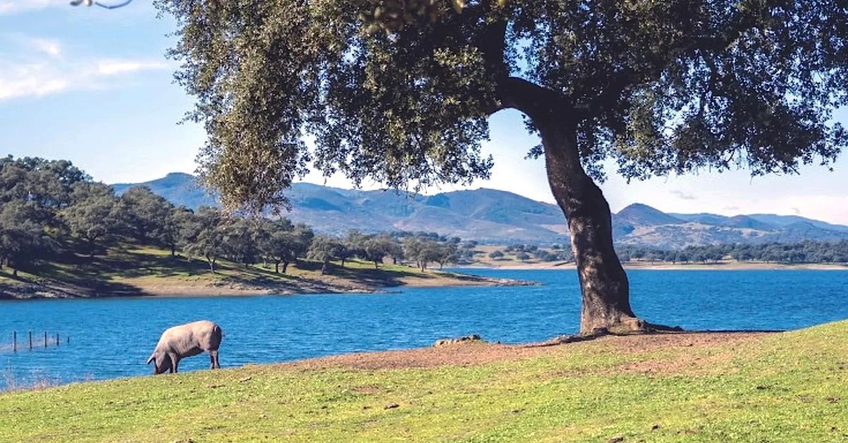 El rincón de Huelva donde escapar del calor: 