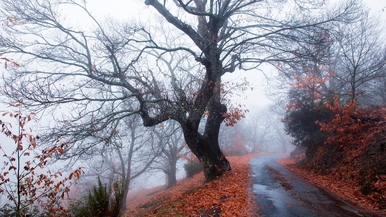 Escapada por El Bierzo más extraordinario: Los rincones que no debes perderte