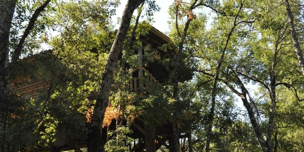 Estas casas nido en Cazorla parecen sacadas de un árbol encantado (y se pueden reservar)