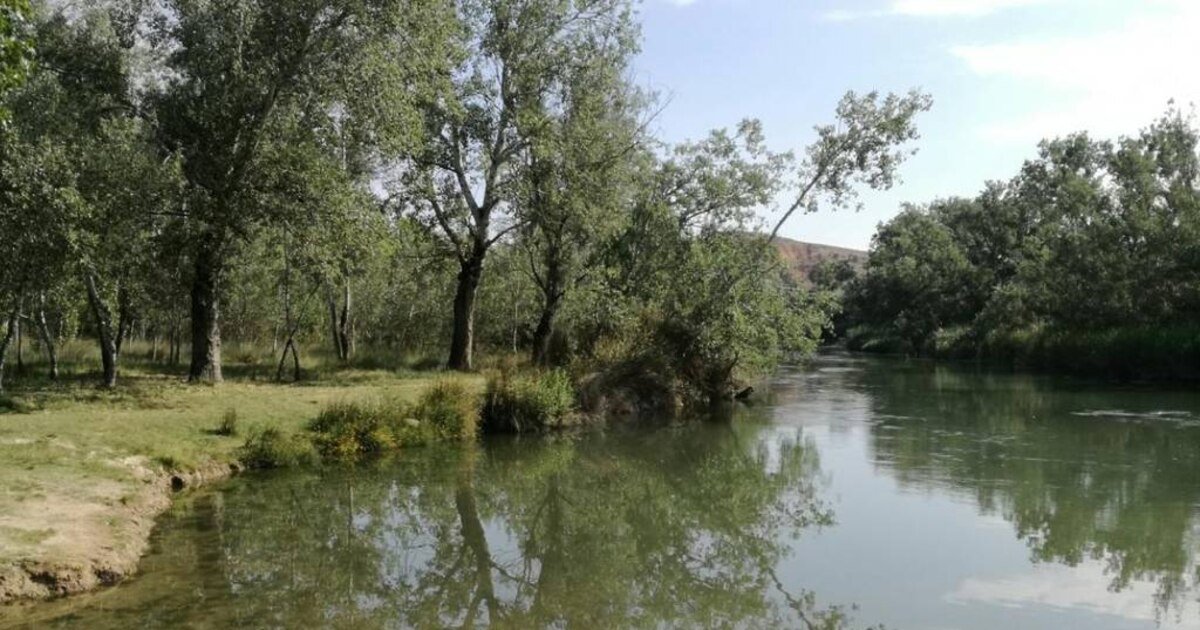 Estas son las cinco zonas de baño de la Comunidad de Madrid donde bañarse no está prohibido