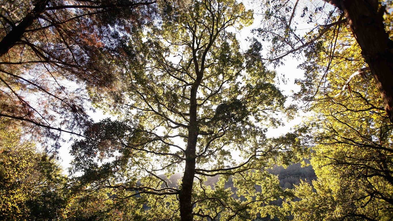 Este rincón de la provincia de Lugo en plena naturaleza enamora a senderistas y amantes de la historia