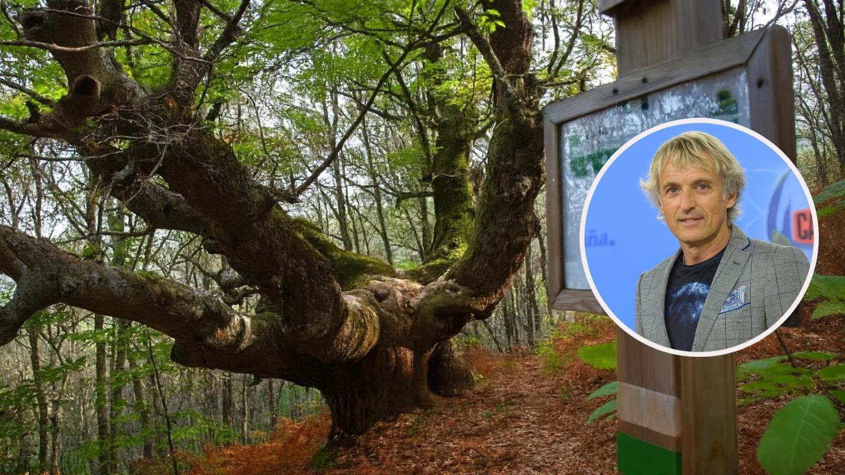Jesús Calleja lo aprobaría: la ruta entre castaños milenarios en Cáceres que todo amante de la naturaleza debería hacer