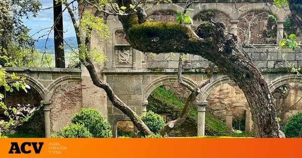 La joya olvidada entre bosques y en plena Sierra de Gredos: descubre las ruinas de este precioso monasterio a tan solo una hora de Madrid