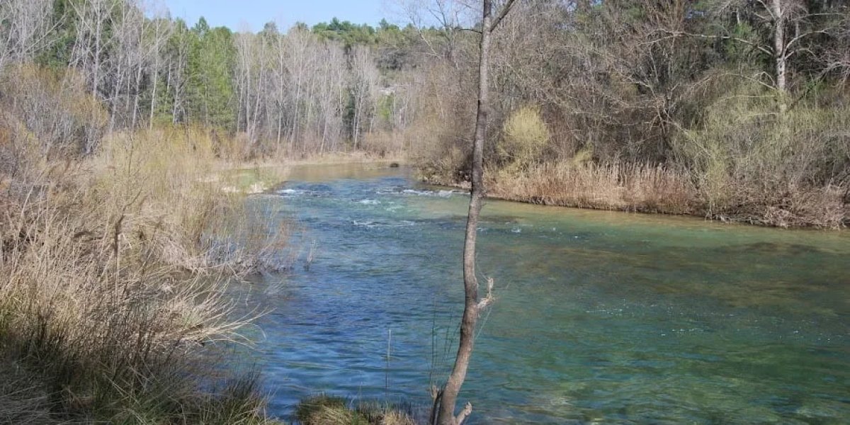 La piscina natural escondida en Madrid: aguas cristalinas e ideal para una excursión al aire libre a solo dos horas del centro