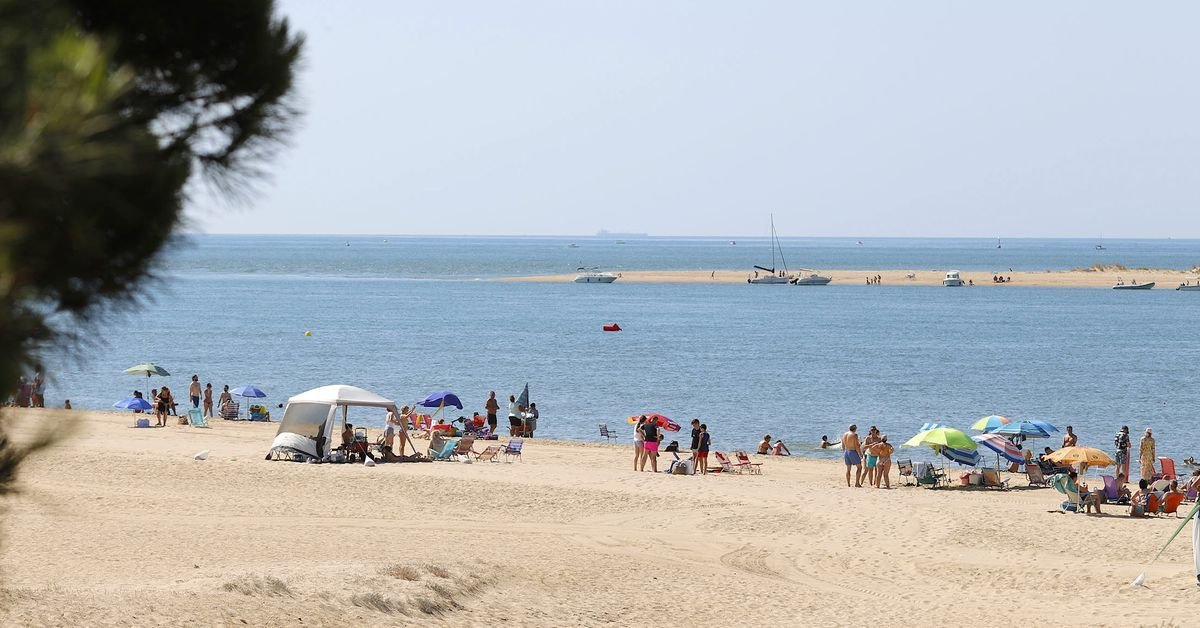 La playa de Huelva de aguas tranquilas y cristalinas que más sorprende: Está donde el mar se une con los pinos