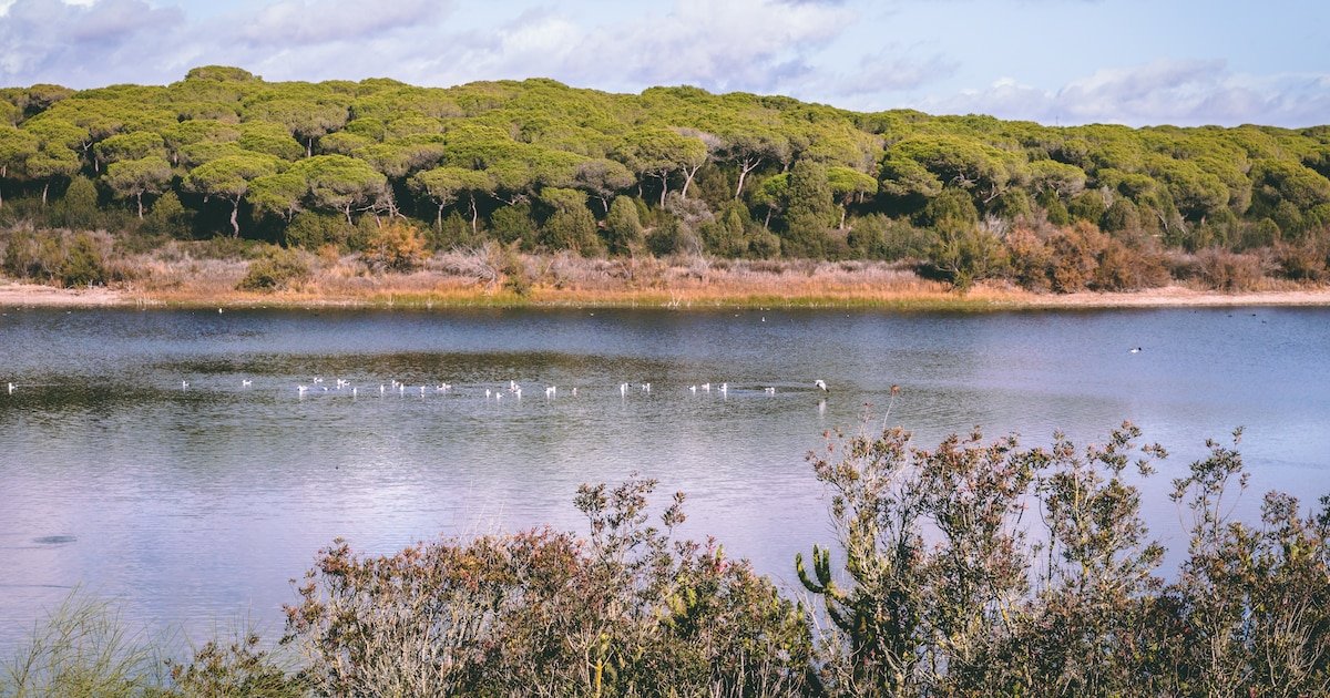 La preciosa laguna de agua dulce cerca de la playa que es un paraíso natural: rutas de senderismo y miradores para observar las aves