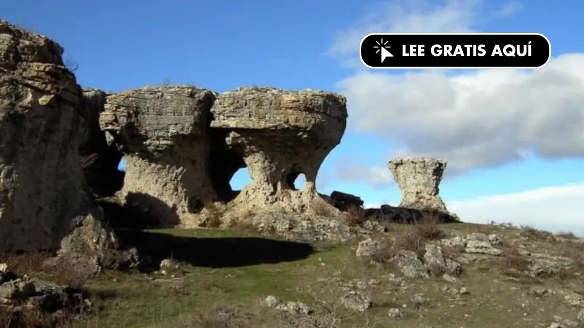 La Ruta de las Tuerces: un museo natural al aire libre a menos de una hora de Cantabria