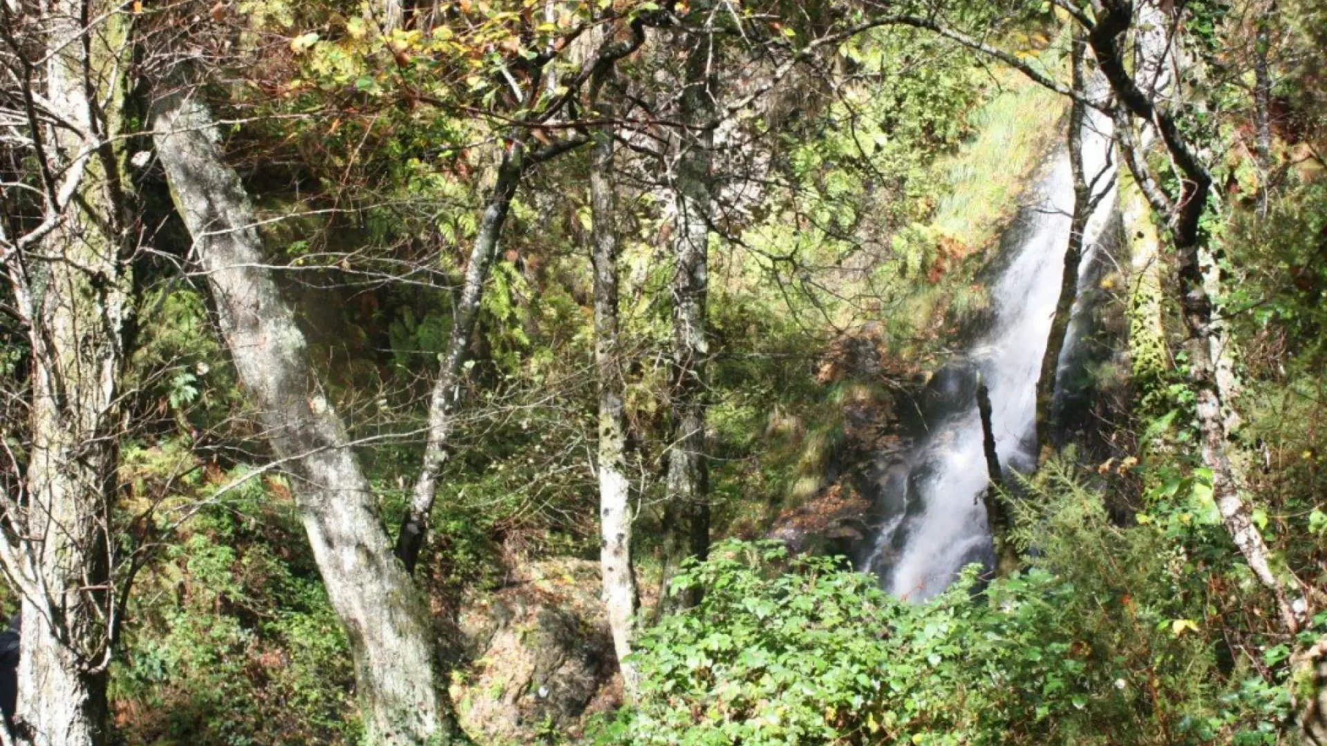 La ruta de senderismo de Galicia por bosques de ribera que descubre una cascada de 15 metros de altura