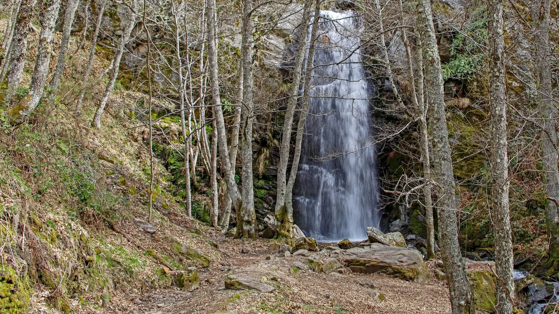 La ruta de senderismo fácil a una cascada de 10 metros de altura escondida en un bosque de León