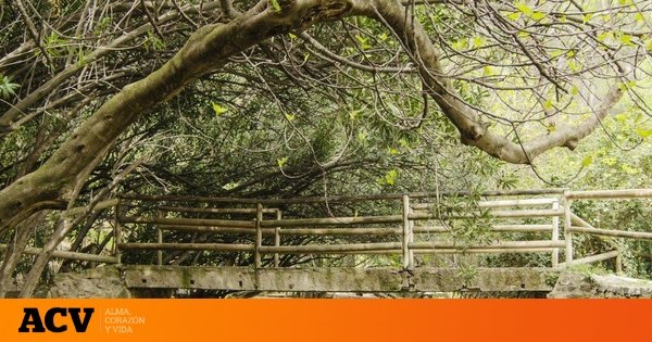 La ruta de senderismo más refrescante de Jaén: en uno de los adelfares más grandes de la península y con una cascada en una cueva