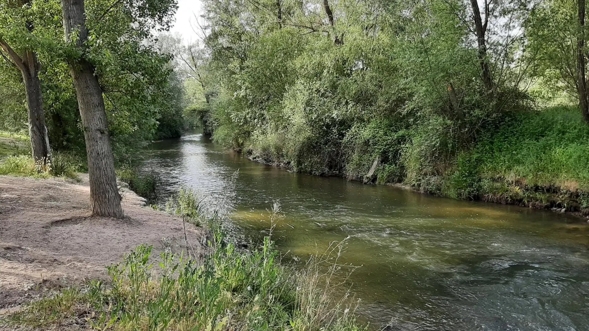 La ruta de senderismo para huir del calor de Madrid: un oasis de calma y frondosos bosques junto al río