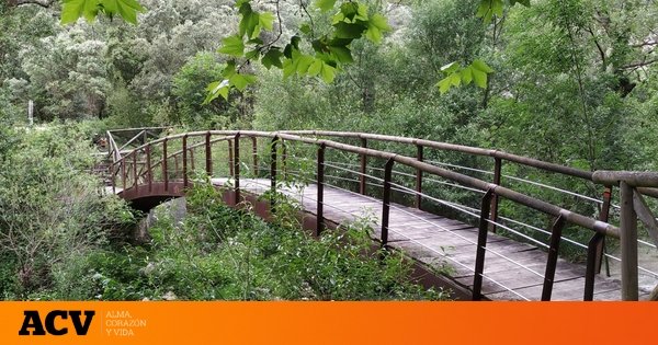 La ruta de senderismo que debes hacer sí o sí en Burgos: perfecta para hacer en verano por su carácter sombrío y su manantial de agua fresca