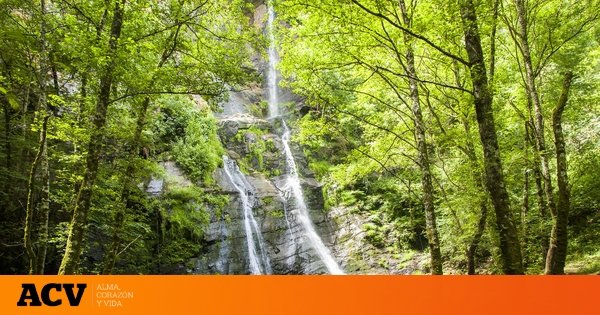 La ruta de senderismo que debes hacer sí o sí en Galicia: con una de las cascadas más altas de la región en un frondoso bosque