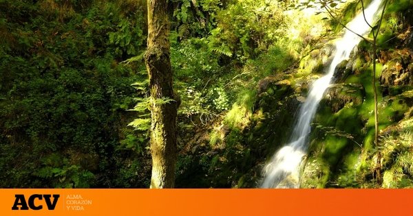 La ruta de senderismo que tienes que hacer sí o sí en Galicia: un paseo hasta llegar a una cascada que cae entre cuarcitas a más de 20 metros de altura