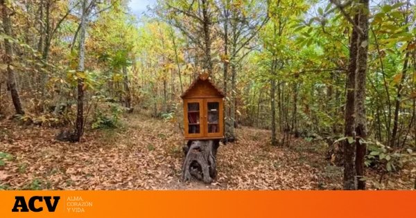 La ruta de senderismo que tienes que hacer sí o sí en León: un precioso y sencillo paseo entre castaños perfecto para Navidad