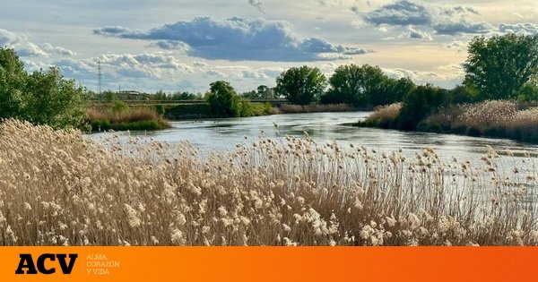 La ruta de senderismo que tienes que hacer sí o sí en Aranjuez, a menos de 1 hora de Madrid: pasarás por antiguos huertos de la Corona Española