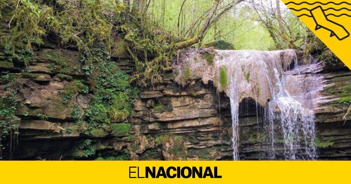 La ruta fácil en Catalunya que pasa por espectaculares saltos de agua: un paisaje encantador