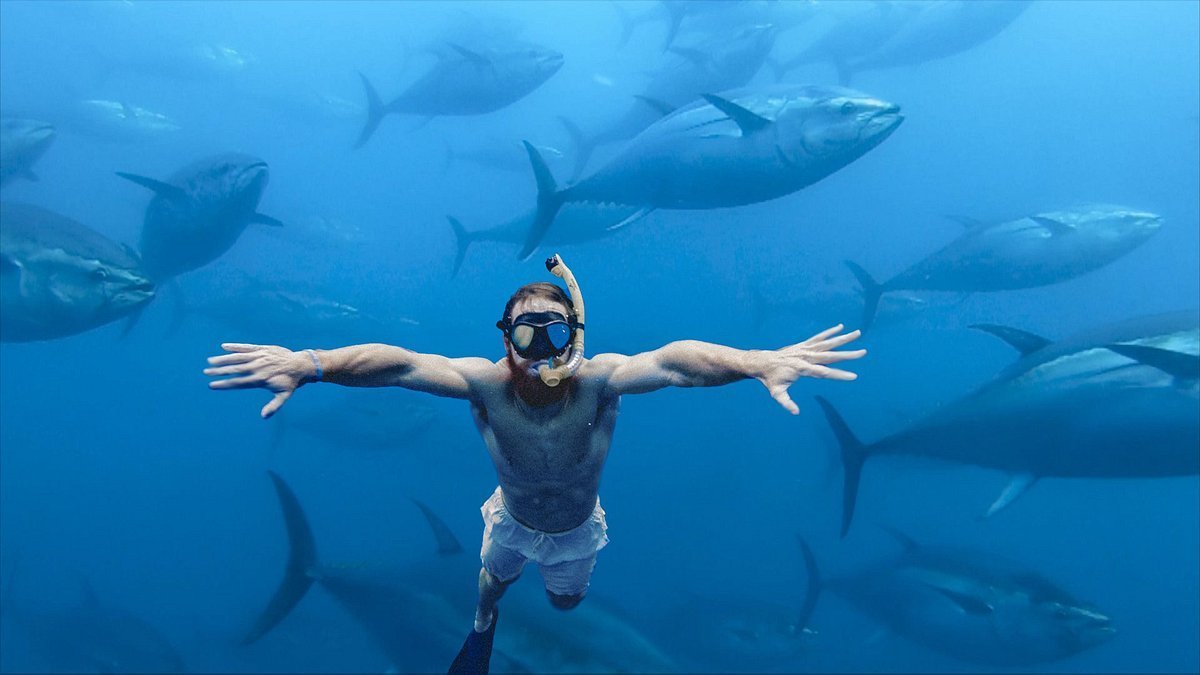 La ruta perfecta para disfrutar de Tarragona: desde calas turquesas a bañarte con atunes rojos