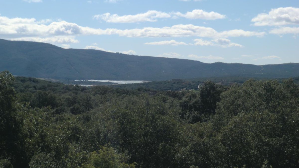 La ruta senderista más mágica de Madrid: un recorrido circular entre ríos, bosques y pequeños pueblos con encanto