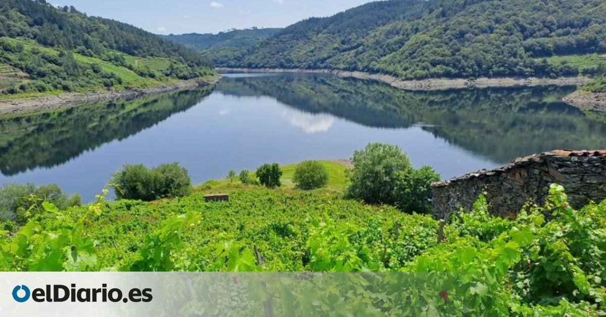 La ruta sensorial perfecta para descubrir los paisajes más verdes y panorámicos de la Ribeira Sacra en verano
