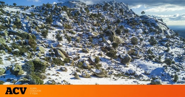 La sencilla ruta de senderismo a una hora de Madrid que es perfecta para enero: para todo el mundo y con un paisaje increíble