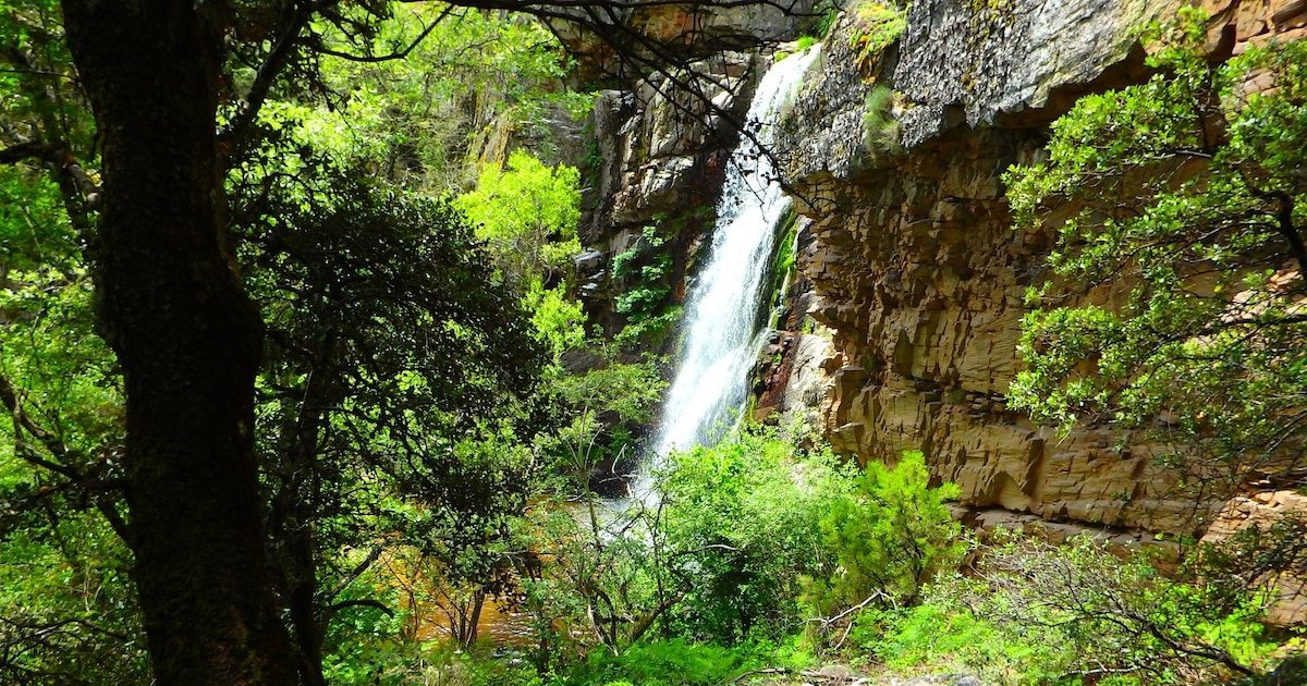 La sencilla ruta por la Sierra de Ayllón que conduce a una cascada de 15 metros de altura
