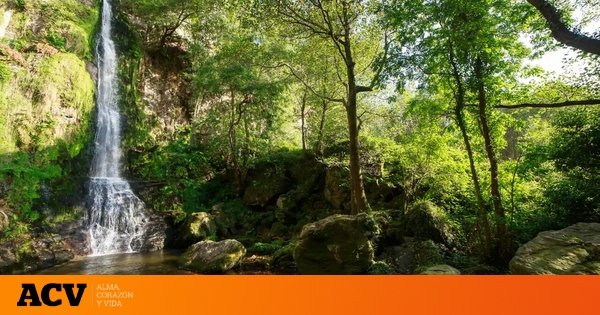 Las espectaculares pozas entre cascadas que hay que visitar sí o sí: se llega a través de una preciosa ruta de senderismo