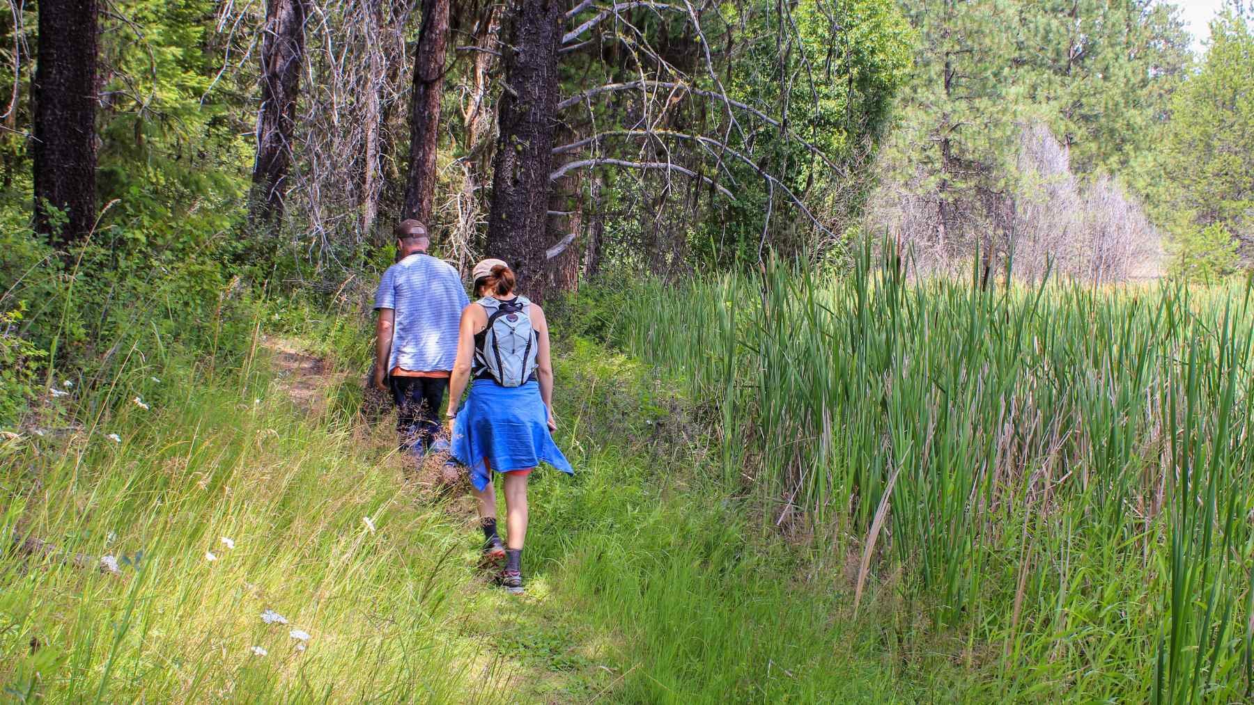 Ni el Bosque de Muniellos ni la Sierra de Gredos: el sendero de Madrid con puentes y molinos medievales