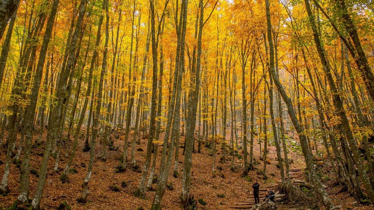 Ni la Senda del Oso, ni el Cares: la ruta de senderismo más espectacular de España está en Palencia y es perfecta para un fin de semana de invierno