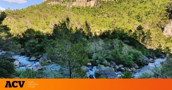 Ni lagunas de Ruidera ni el embalse de Toba: el lugar de Castilla-La Mancha donde disfrutar de unas impresionantes piscinas naturales este verano