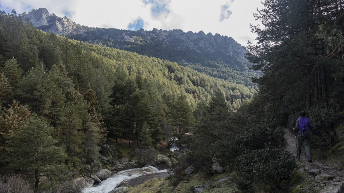 Ocho rutas para huir del calor en la Sierra Norte de Madrid