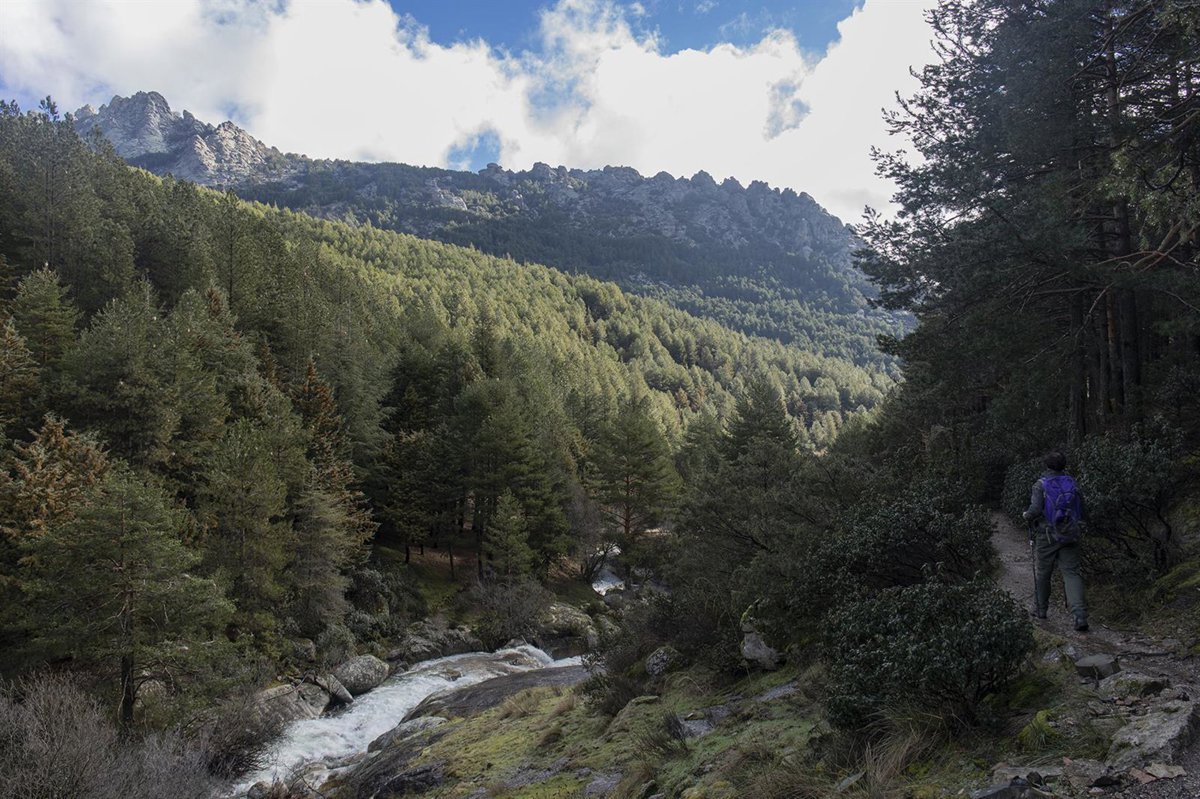 Ocho rutas para huir del calor y refugiarse en la Sierra Norte entre arroyos, cascadas, hayedos y robles centenarios