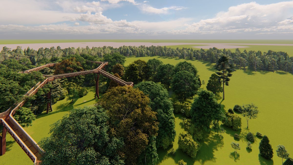 Pasarela aérea en el bosque de pinos más extenso de Europa en Soria