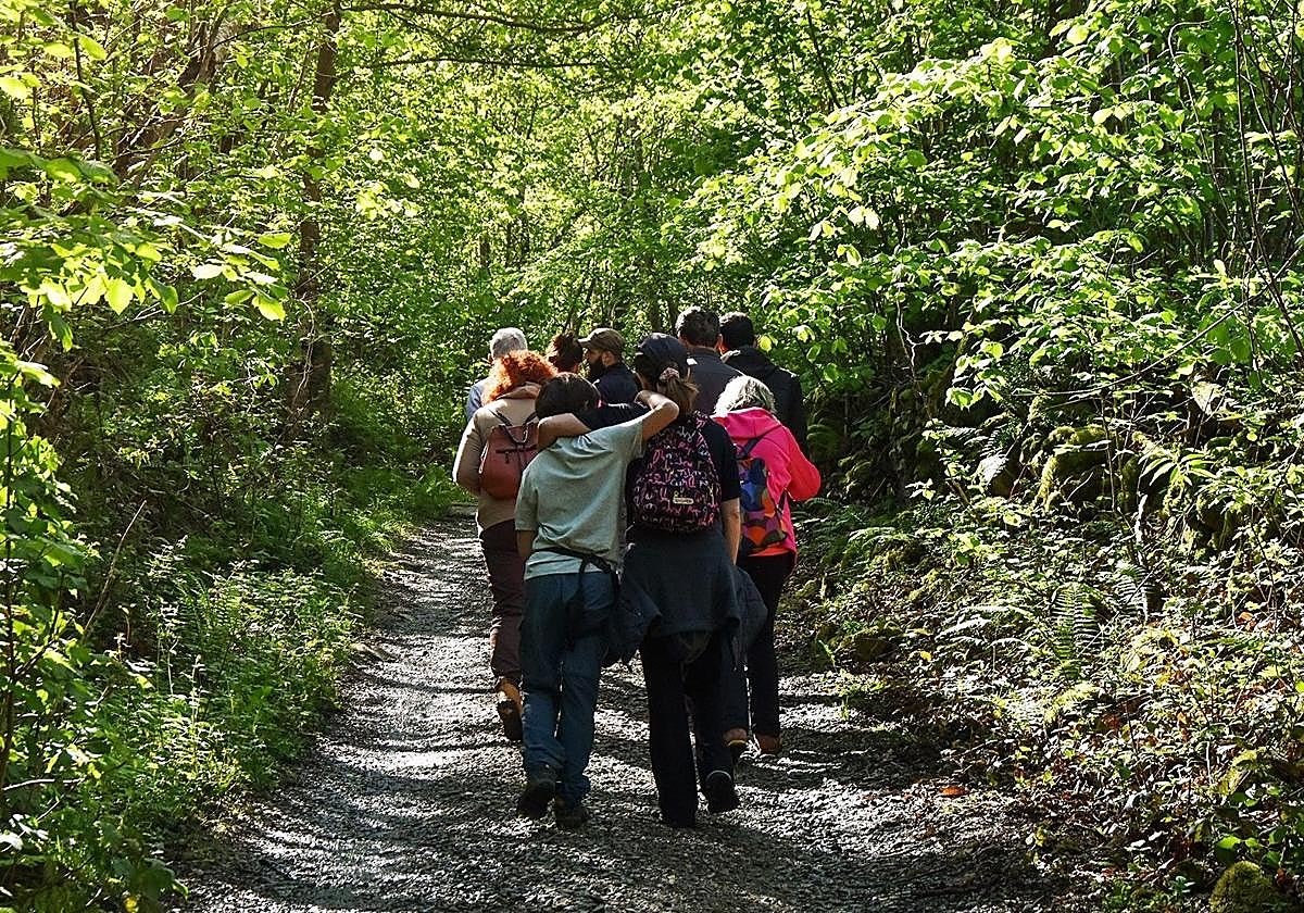 Paseos senderistas para toda la familia siguiendo la corriente de los ríos del Parque Natural de Redes | El Comercio: Diario de Asturias