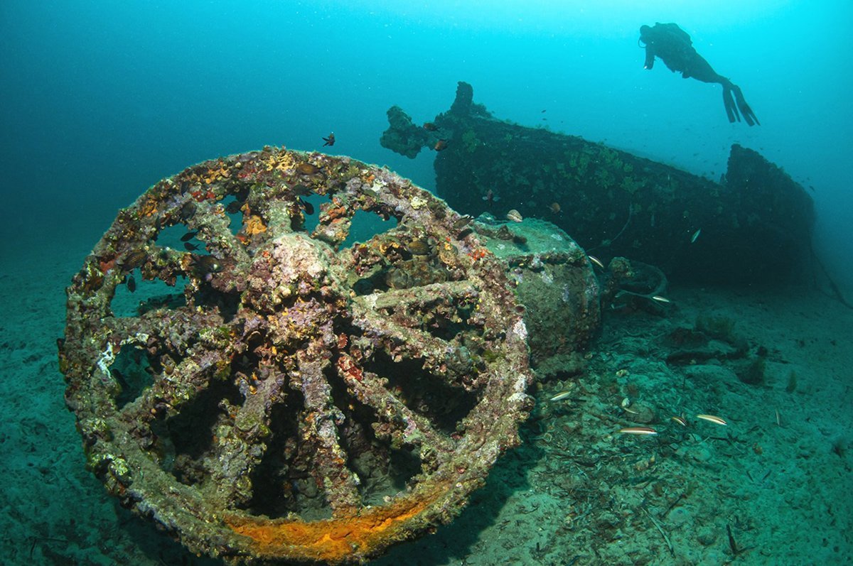 Turquía bajo el agua:cuatro destinos fascinantes para sumergirse en la historia, la belleza natural y el misterio marino