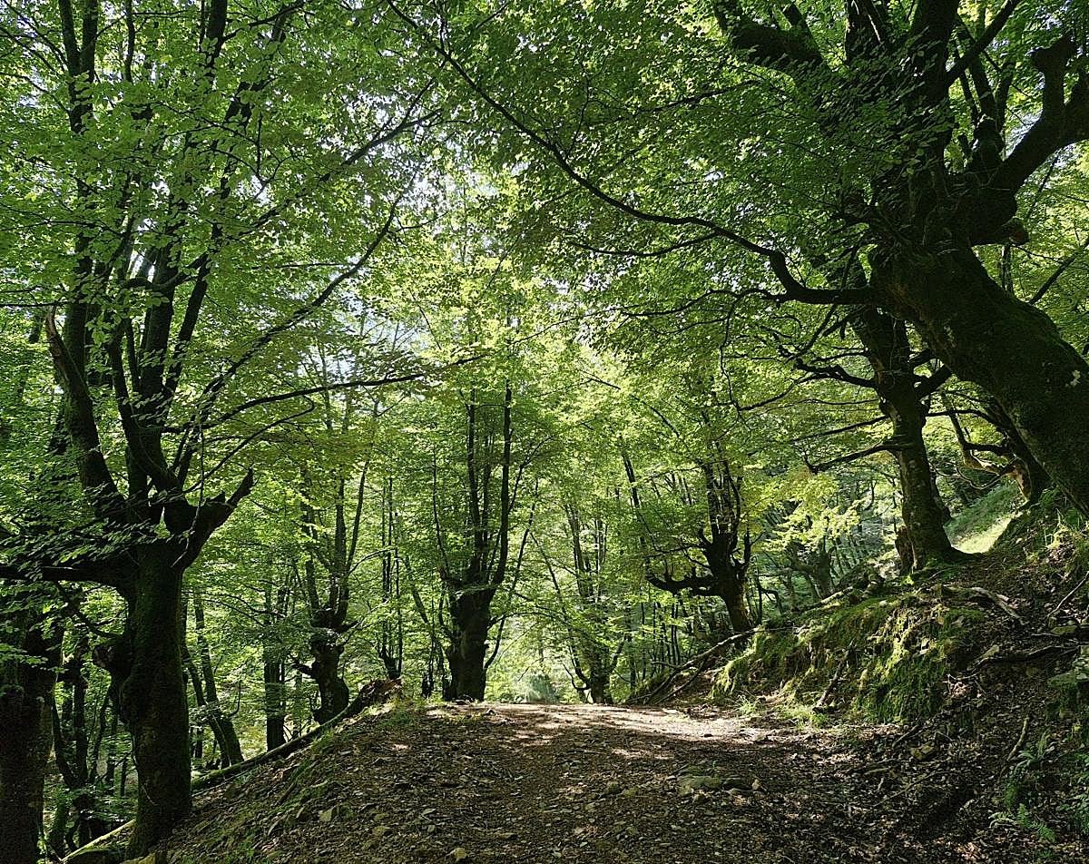 Una ruta hecha de tranquilidad | El Diario Montañés