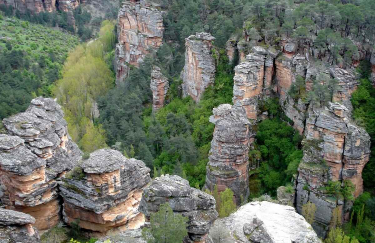 Uno de los espacios naturales más grandes de España está en Castilla-La Mancha - ENCLM